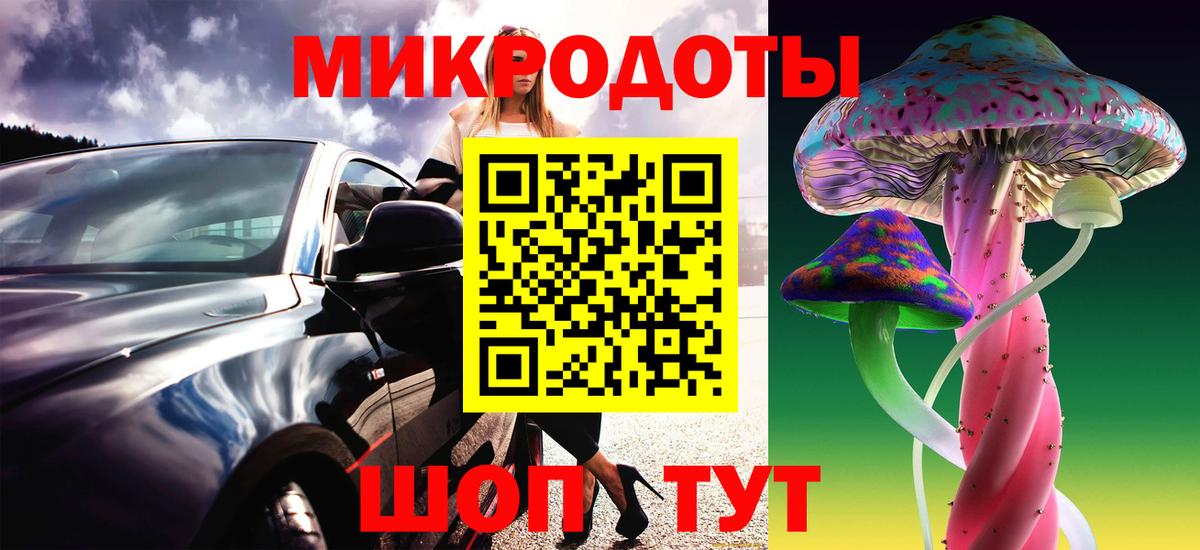Псилоцибиновые грибы Psilocybe Медногорск